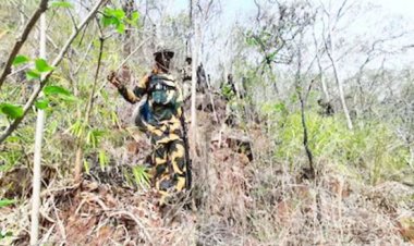 कांकेर मुठभेड़ : मारे गए नक्सलियों में 15 पुरुष और 14 महिला शामिल