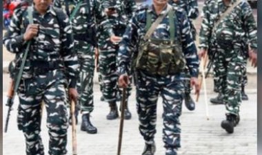 पाकिस्तान में बारिश का कहर, 87 लोगों की मौत, 80 से ज्यादा घायल