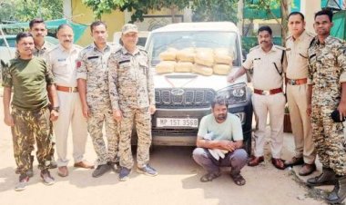 स्कार्पियो में गांजा तस्करी, एमपी का आरोपी बंदी