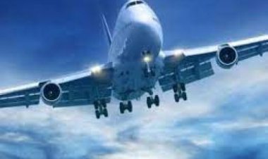 एयर कनाडा की टोरंटो जाने वाली उड़ान में बमे रखे होने की धमकी से मचा हड़कंप