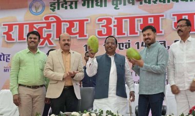 सेहत और अर्थव्यवस्था के लिए आम की फसल काफी महत्वपूर्ण : मंत्री नेताम