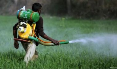 बदलते मौसम के खिलाफ नई किस्में आजमा रहे हैं भारतीय किसान