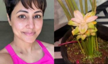 कैंसर से जूझ रहीं हिना खान घर पर कर रही गार्डनिंग, इंस्टा पर शेयर किया