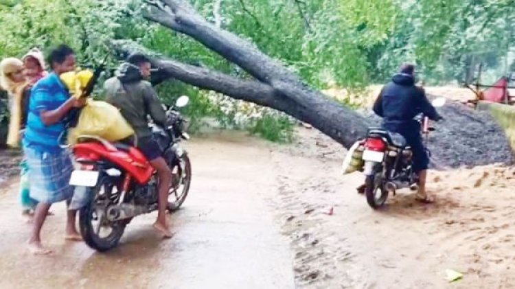 गिरा पेड़, खंभा क्षतिग्रस्त, आवागमन बाधित