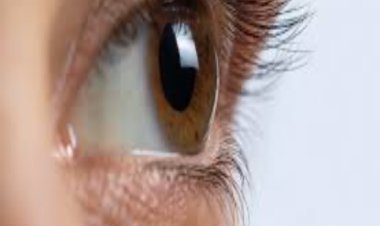 समुद्रिका शास्त्र के अनुसार आपकी आंखों का आकार बता सकता है आपका चरित्र