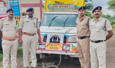 महाराष्ट्र सीमा पर तस्करों से 11 गोवंश मुक्त कराए:आरोपी जंगल में फरार, गोवंश के हाथ-पैर व मुंह रस्सी से बंधे हुए थे