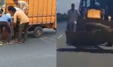 दिनारा क्षेत्र में 3 दिन में 17 गायों की मौत:गौ सेवक इलाज और दफनाने का कर रहे काम, गोशाला खुलवाने की मांग