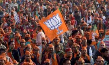 मुख्यमंत्री श्री साय के निर्देश पर पुलिस ने अंतरराज्यीय गांजा तस्करी के बडे रैकेट का किया भांडाफोड़ अब तक प्रमुख सरगना समेत 8 गिरफ्तार….