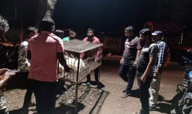 शुष्क दिवस पर मांस विक्रेताओं पर निगम की कार्रवाई, सामान जब्त