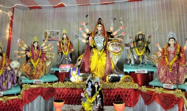 9 दिन मां की आराधना में लीन रहा राजगढ़:40 से अधिक पंडालों में विराजित हुई माता, बंगाल से आई विशेष सामग्री से सजीं झांकियां