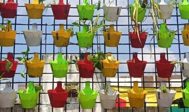 धार में स्वच्छता सर्वेक्षण को लेकर नगर पालिका एक्टिव:इंदौर की तर्ज पर तैयार किए जा रहे हैंगिंग गार्डन, नालों की भी सफाई जारी