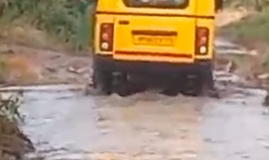 सुमावली विधानसभा के पिडावली गांव की सड़क बनी तालाब:गांव के मुख्य रास्ते में भरा पानी, महिलाएं किनारे से निकलने के चक्कर में गिर रहीं