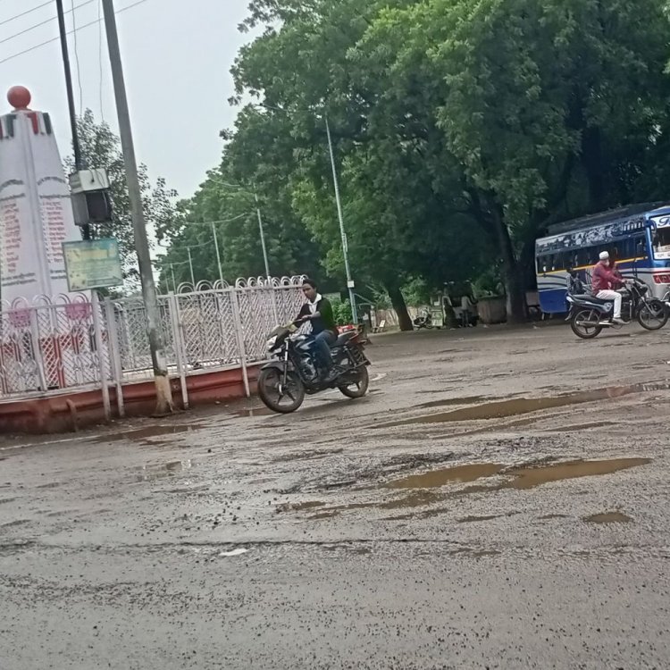 बड़वानी में भारी बारिश जारी:कपास-सोयाबीन की फसलें हुई प्रभावित, सड़कों पर जमा हुआ पानी