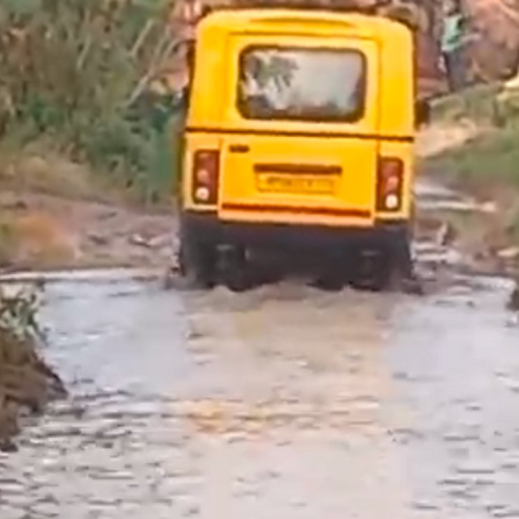 सुमावली विधानसभा के पिडावली गांव की सड़क बनी तालाब:गांव के मुख्य रास्ते में भरा पानी, महिलाएं किनारे से निकलने के चक्कर में गिर रहीं