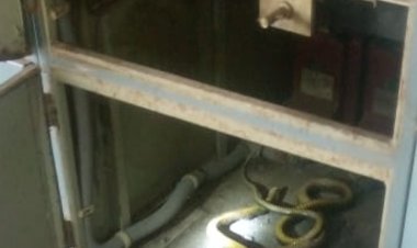 उज्जैन शहर में सोमवार को पानी सप्लाई नहीं होगा:गंभीर इंटेक वेल के पैनल रूम में सांप घुसने से फॉल्ट, मरम्मत जारी