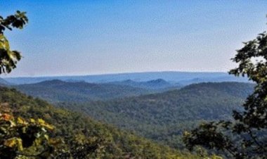 गुरू घासीदास-तमोर पिंगला बना देश का 56वां टाइगर रिजर्व, मुख्यमंत्री श्री साय ने प्रधानमंत्री श्री नरेन्द्र मोदी और केन्द्रीय वन मंत्री श्री भूपेन्द्र यादव के प्रति जताया आभार