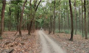 निगरानी की तकनीकों से परेशान की जा रही हैं महिलाएं - शोध