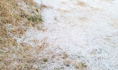 सरगुजा संभाग में शीत लहर चलने का येलो अलर्ट