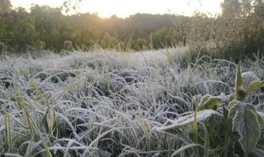 CG Weather Update: छत्तीसगढ़ में कड़ाके की ठंड, पत्तों पर जमी बर्फ की चादर, रात का पारा 3 डिग्री से नीचे गिरा, 12 जिलों में शीतलहर का यलो अलर्ट