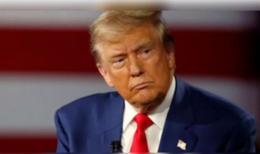 जेलेंस्की और पुतिन से 'नरसंहार' रुकवाने के लिए बात करेंगे ट्रंप