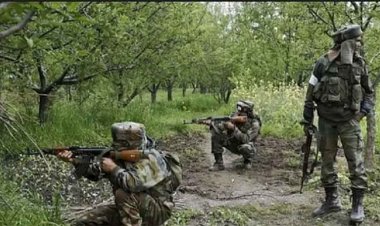 छत्तीसगढ़-सुकमा में सीआरपीएफ और नक्सलियों में फायरिंग, कोबरा बटालियन के दो जवान घायल