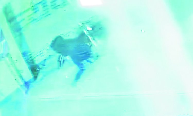 सोने-चांदी के गहने नहीं मिले तो बेनटेक्स सामान ले गया चोर