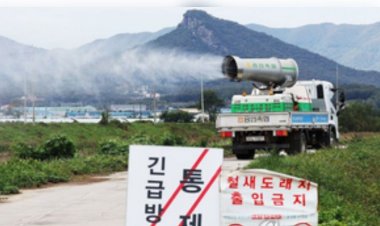 दक्षिण अफ्रीका ने पाकिस्तान से फॉलो-ऑन कराया, मसूद-बाबर का संघर्ष