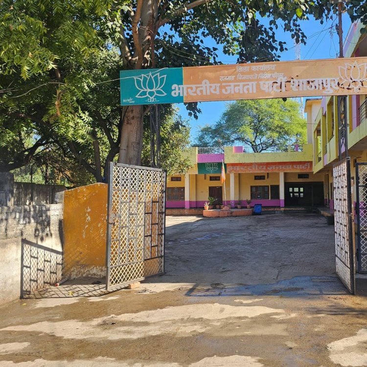 शाजापुर भाजपा में सत्ता और संगठन का खेल:कौन बनेगा जिला अध्यक्ष?; गुटबाजी में महिला को मिल सकती है कमान