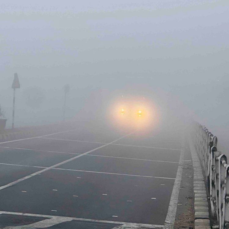 मकर संक्रांति पर मंदसौर में छाया कोहरा:विजिबिलिटी 200 मीटर, तापमान पहुंचा 7 डिग्री; कल बूंदाबांदी की संभावना