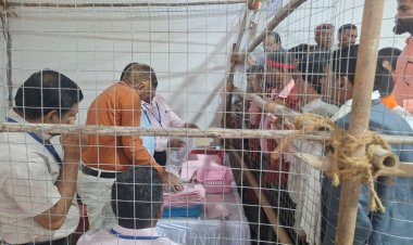 महासमुंद नगरीय निकाय मतगणना शुरू