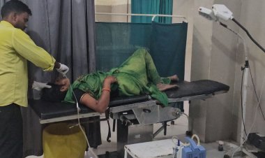 शाजापुर में मधुमक्खियों का मजदूरों पर हमला:खेत पर गेहूं काट रहे 12 लोग घायल, एक महिला की हालत गंभीर