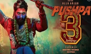 Allu Arjun की Pushpa 3 को लेकर आया बड़ा अपडेट, जानिए सिनेमाघरों में कब देगी दस्तक