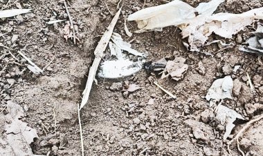 3 किलो का बम बरामद, किया निष्क्रिय