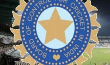 कप्तानों की सहमति के बाद बीसीसीआई ने आईपीएल में लार के इस्तेमाल पर प्रतिबंध हटाया