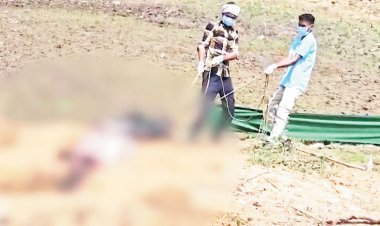 भालू की मौत पर हो रहे रोज नए खुलासे विभागीय लापरवाही खुलकर आई सामने!