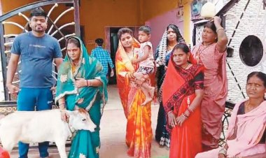 बछिया के जन्मोत्सव पर 300 मेहमानों को न्योता, सत्यनारायण कथा और शानदार दावत