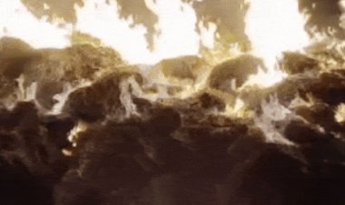 राजगढ़ में खेत में अचानक लगी आग:8 बीघा में लगी गेहूं की फसल जली; जानबूझकर आग लगाने का आरोप