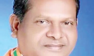 अनुराग सिंह देव राज्य गृह निर्माण व रामसेवक पैकरा वन विकास निगम के अध्यक्ष बने