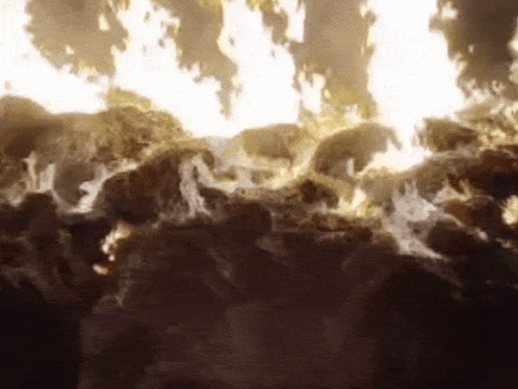 राजगढ़ में खेत में अचानक लगी आग:8 बीघा में लगी गेहूं की फसल जली; जानबूझकर आग लगाने का आरोप