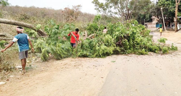 एनएच 343 में पेड़ों की कटाई शुरु, जल्द सडक़ निर्माण प्रारंभ होने की उम्मीद