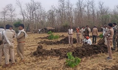 निवाड़ी में वन भूमि से अतिक्रमण हटाया:ओरछा में 10 हेक्टेयर जमीन खाली कराई, जेसीबी से बागड़ ढहाई