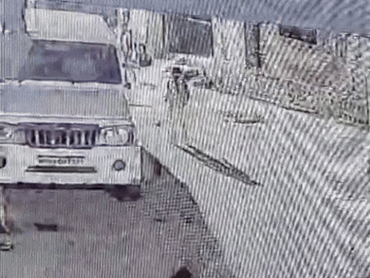 शाजापुर में 8 साल की बच्ची को कुत्ते ने काटा:राजनगर में पड़ोसी का पालतू कुत्ता कर रहा हमला; CCTV में कैद हुई वारदात