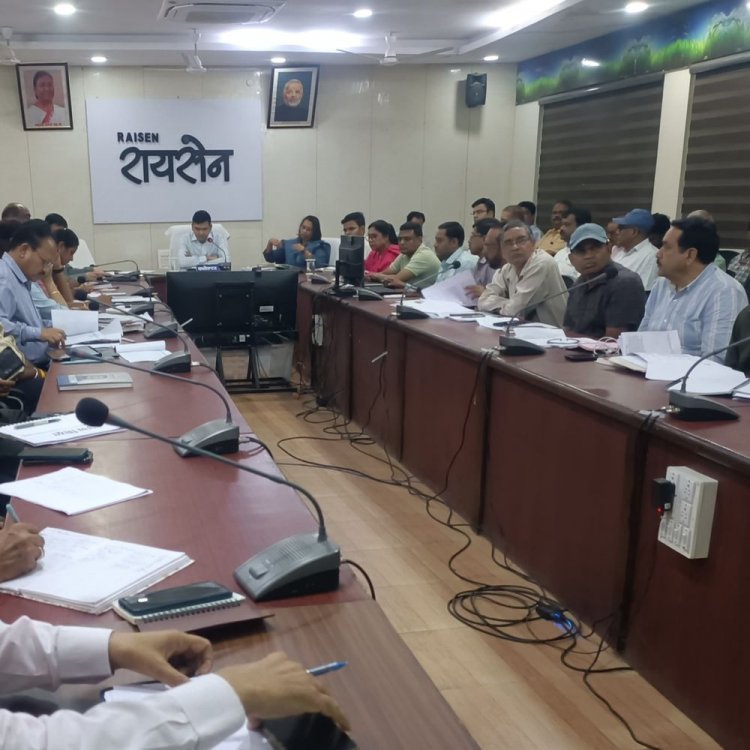 सड़कों पर बैठे गोवंश को गोशाला में भेजने का आदेश:रायसेन कलेक्टर ने दी नियमित पेट्रोलिंग की हिदायत, दुर्घटनाओं से बचाव पर जोर