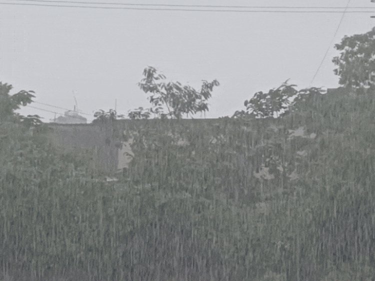 अशोकनगर में दो दिन से हो रही बारिश:चंदेरी में 48 घंटे में 7.8 इंच गिरा पानी; मुंगावली में कई घरों में घुसा