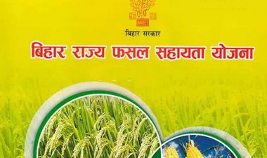 बिहार राज्य फसल सहायता योजना: 31 अक्टूबर तक करें आवेदन