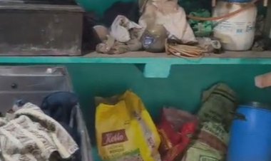 दीवार तोड़कर 80 हजार नकद और जेवर ले गए चोर:श्योपुर के विचपुरी गांव में चोरी; घर में ही सो रहा था परिवार