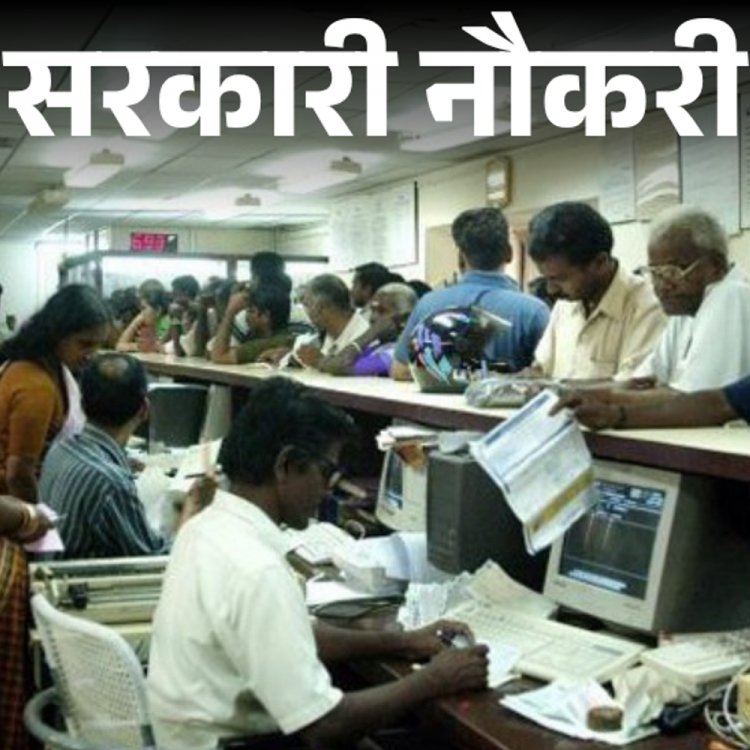 सरकारी नौकरी:IBPS ने 10,277 पदों पर निकाली भर्ती; आज से आवेदन शुरू, ग्रेजुएट्स करें अप्लाई