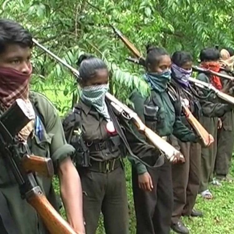 नक्सली खात्मे के लिए जंगलों में उतरे सुरक्षा बल:मार्च 2026 तक नक्सलमुक्त का लक्ष्य; बालाघाट में SP ने हॉक फोर्स-CRPF तैनात किए