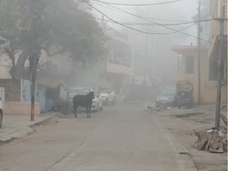 ग्वालियर में कपकपाने वाली सर्दी:कोहरे ने बिगाड़ी ट्रेनों की चाल, दिन में वाहन चालकों को जलानी पड़ रहीं हेड लाइट्स; दूसरे दिन भी कोल्ड-डे