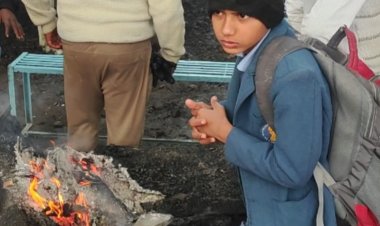 राजगढ़ में 4.5 डिग्री पर पहुंचा पारा:जालों पर मोतियों-सी ओस जमी, छुट्टियां खत्म होने पर ठिठुरते बच्चे स्कूल पहुंचे